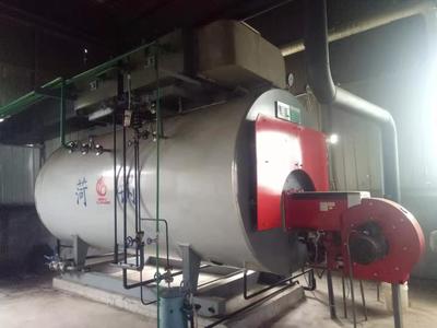 昆明生物質(zhì)蒸汽鍋爐