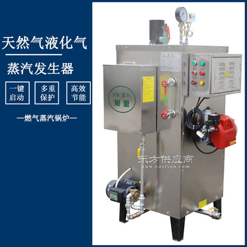 食品加工專用30kg天然氣蒸汽發生器小型燃氣蒸汽鍋爐圖片