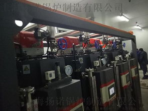 食品機械配套蒸汽鍋爐 高效廚房設備的核心動力