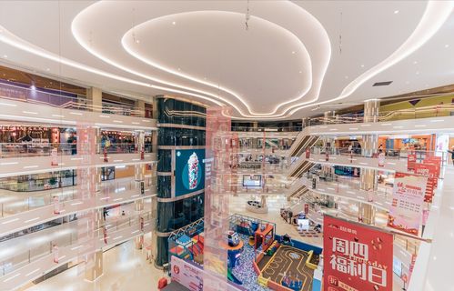 名品網(wǎng)平臺